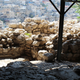 Jerusalem. Wikimedia Commons